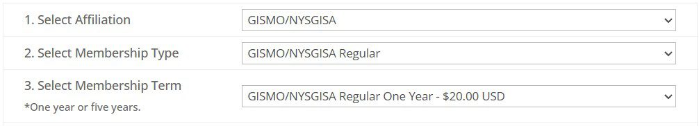 choose the membership type for GISMO/NYSGISA